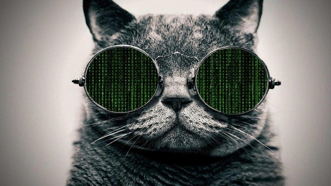 你为什么对kotlin失去好感?